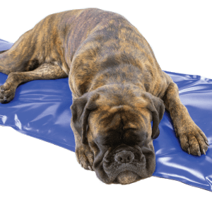 Carbon Tech Heating Mat